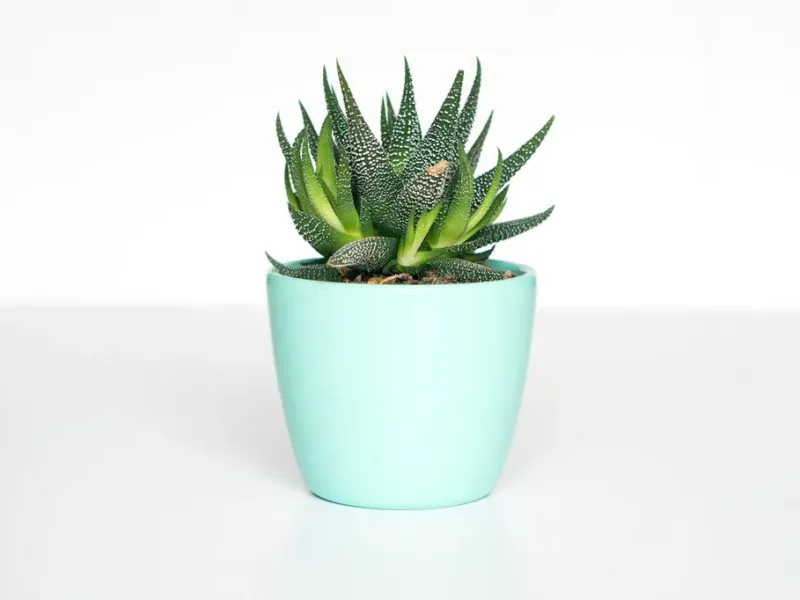 Platform B2B Wholesale GrosirKu Connect Gallery 3